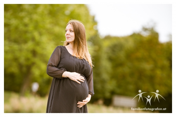 Babybauch Fotograf Langenzersdorf