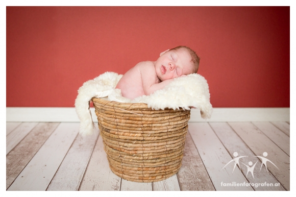 Newborn Fotografie Langenzersdorf-01