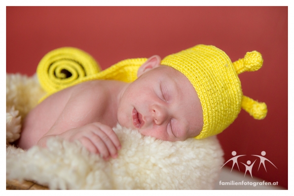 Newborn Fotografie Langenzersdorf-03