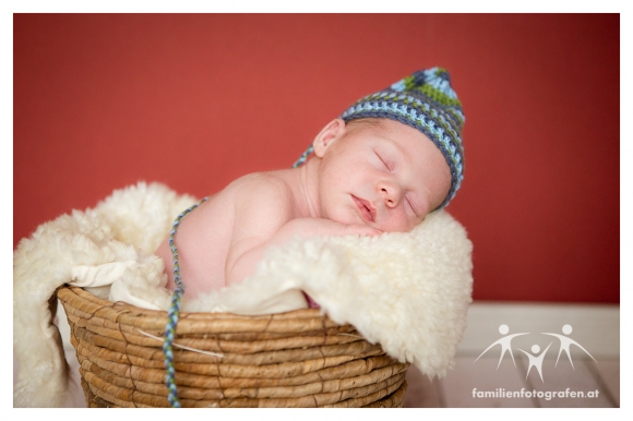 Newborn Fotografie Langenzersdorf-04