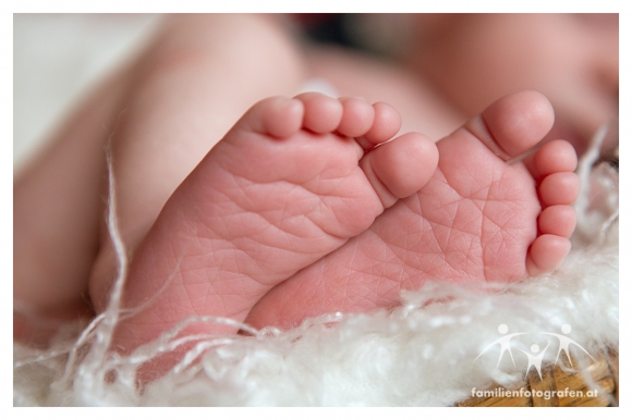 Newborn Fotografie Langenzersdorf-08