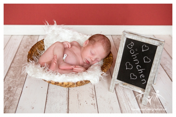 Newborn Fotografie Langenzersdorf-09