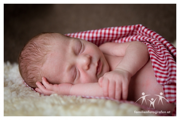 Newborn Fotografie Langenzersdorf 1