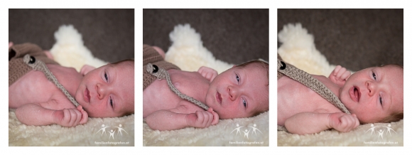 Newborn Fotografie Langenzersdorf 4