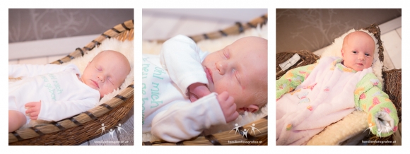 Newbornfotos-3